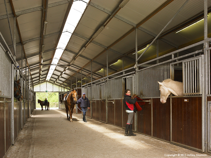 The Equestrian Centre stables at Mount Juliet Country Estate in County Kilkenny.